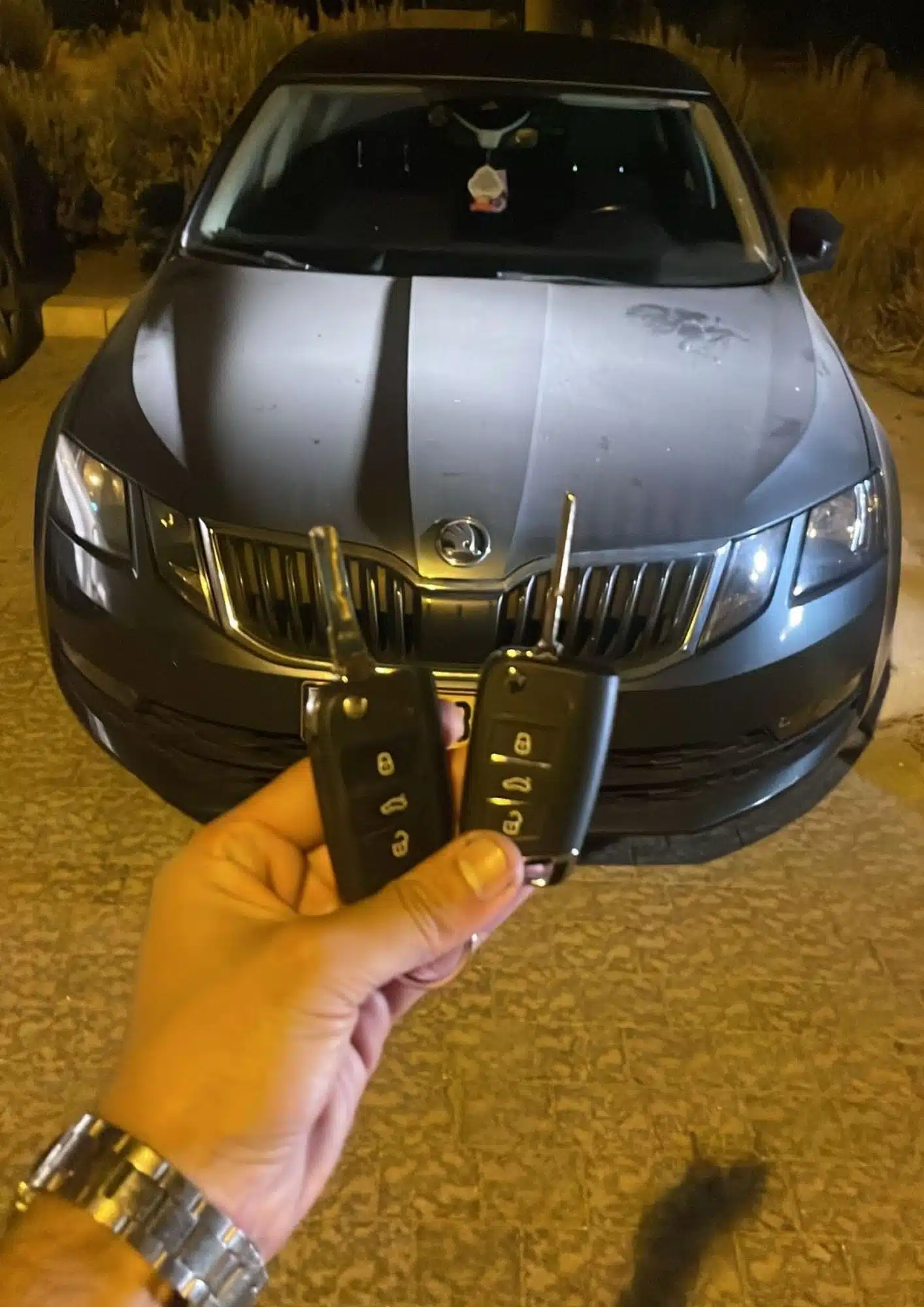 שירות מקצועי, מהיר וללא נזק